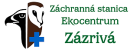 zazriva