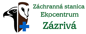 zazriva